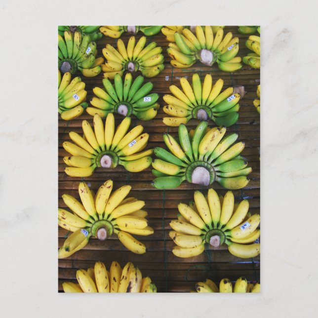 Lady Finger Bananas ~ Egg Banana (กล้วยไข่) Postcard (Front)