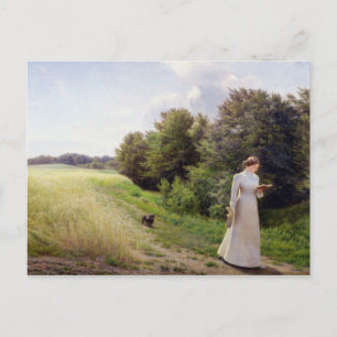 Lady in White Reading Postcard