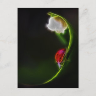 Lady of the Valley Postcard