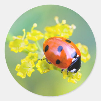 lady on top classic round sticker