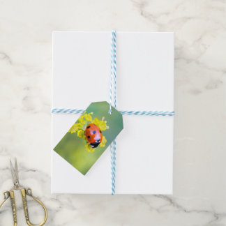 lady on top gift tags