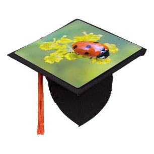 lady on top graduation cap topper