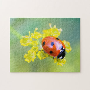 lady on top jigsaw puzzle