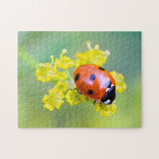 lady on top jigsaw puzzle