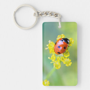 lady on top keychain