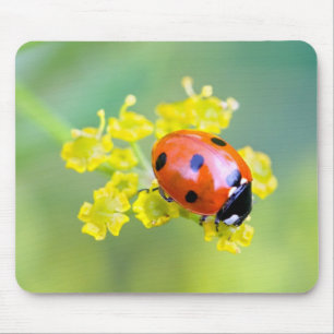 lady on top mouse pad