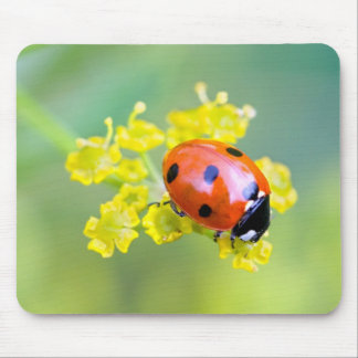 lady on top mouse pad