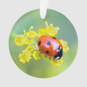 lady on top ornament