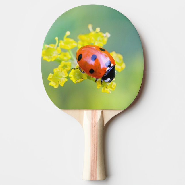 lady on top ping pong paddle (Front)