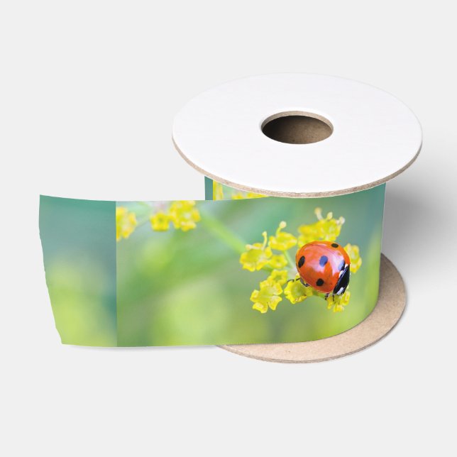 lady on top satin ribbon (Spool)