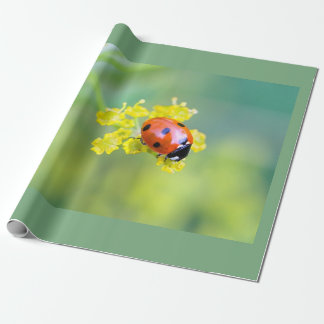 lady on top wrapping paper