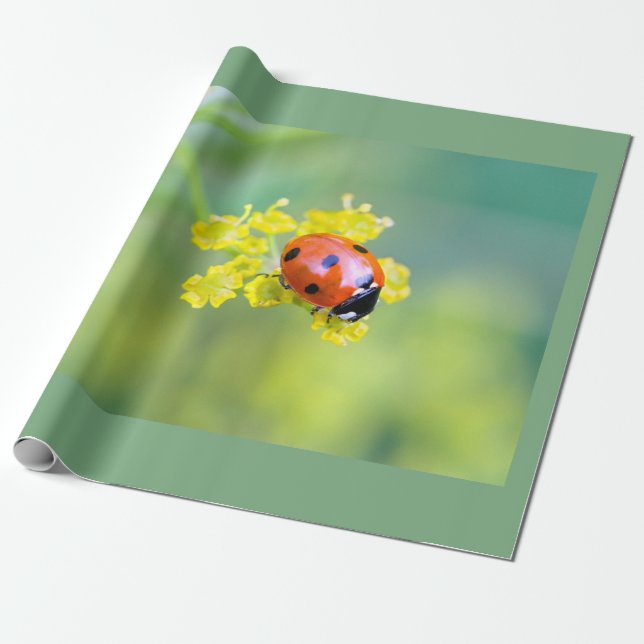 lady on top wrapping paper (Unrolled)