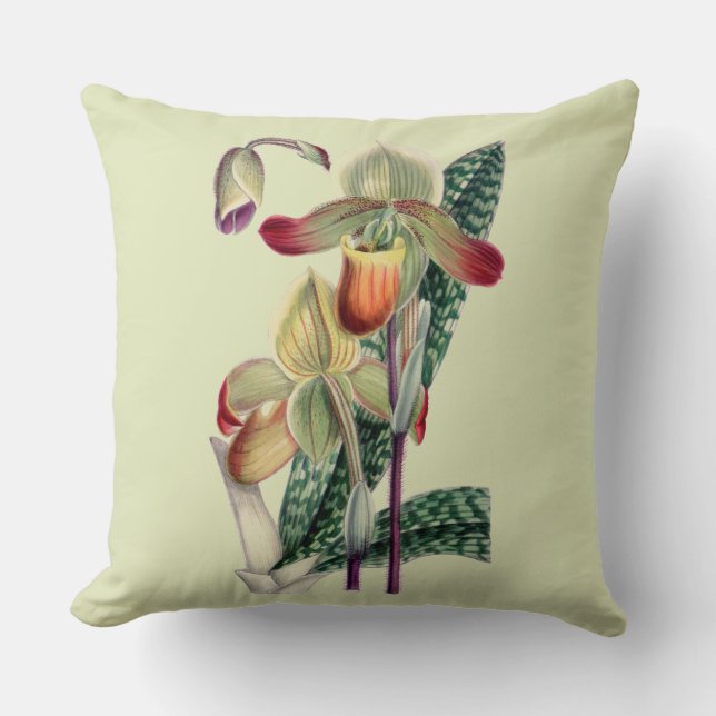 Lady Slipper Orchid Celadon Throw Pillow (Front)
