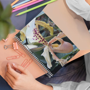 Lady Slipper Orchid Floral