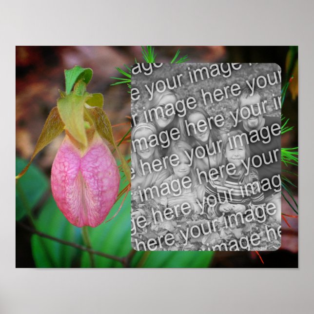 Lady Slipper Orchid Frame Add Your Photo Poster (Front)