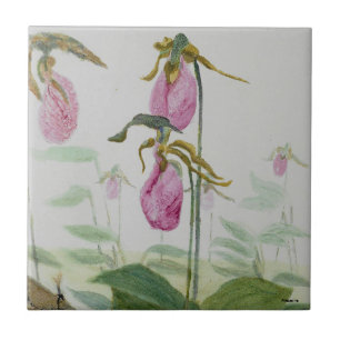 Lady Slipper Trivit Tile