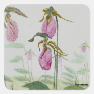 Lady Slippers Square Sticker