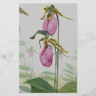 Lady Slippers Stationery