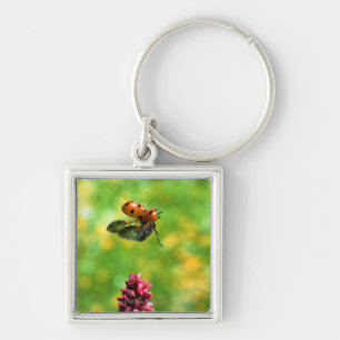 ladybird keychain