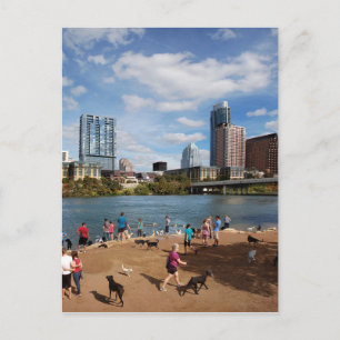Ladybird Lake Dog Park Austin Texas Skyline Postcard