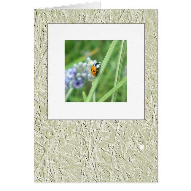 Ladybird on a stalk (Front)