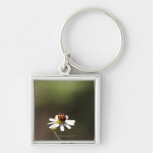 Ladybird on Chamomile Flower Keychain