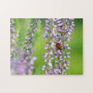 Ladybird on purple flowers    jigsaw puzzle