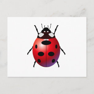 ladybird postcard