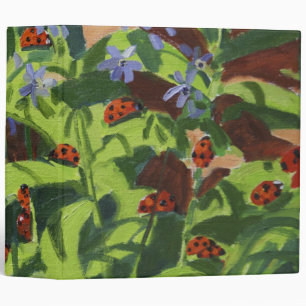 Ladybirds 2013 binder