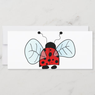 Ladybug