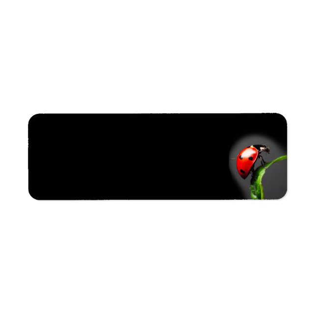 Ladybug (Devant)