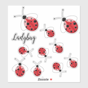 Ladybug
