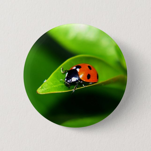 Ladybug 2 Inch Round Button (Front)