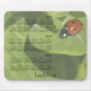 Ladybug 3 Year 2013-2015 Calendar Mousepad