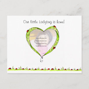 Ladybug Adoption announcement