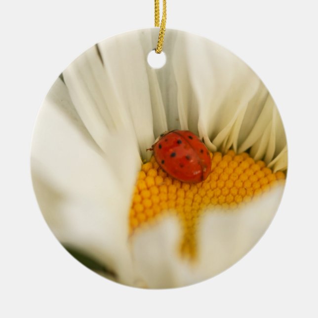 Ladybug and Daisy Ornament (Front)