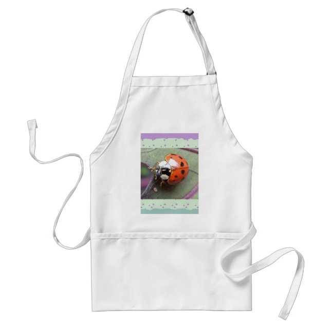 Ladybug Apron (Front)