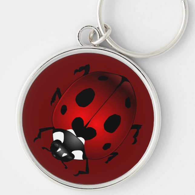Ladybug Art Keychain Bug Keepsake Ladybug Gifts (Front)