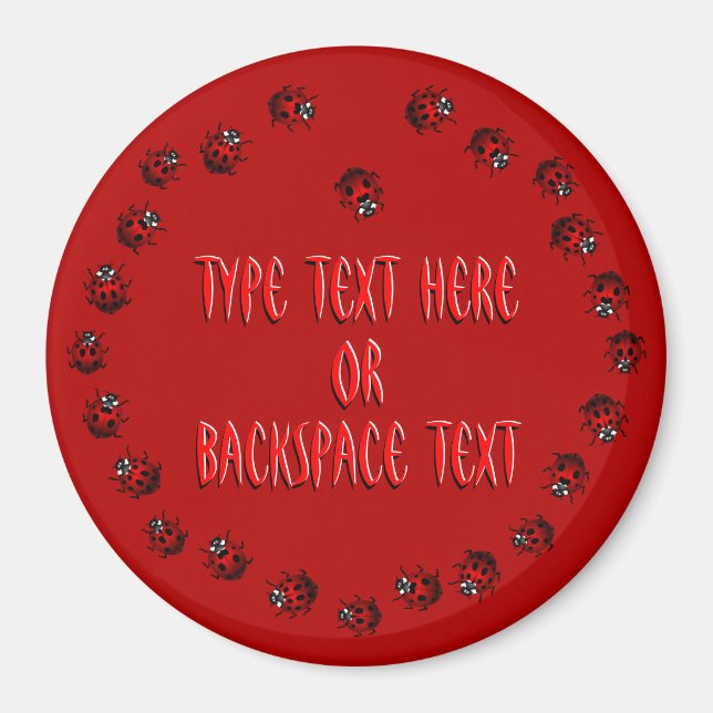 Ladybug Art Magnet Custom Ladybug Fridge Magnets (Front)