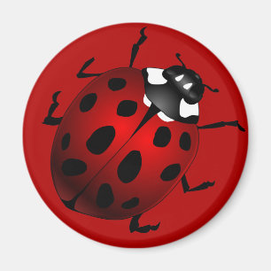 Ladybug Art Magnet Ladybird Ladybug Frinets