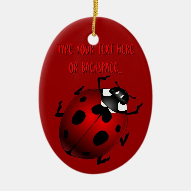 Ladybug Art Ornament Bug Keepsake Ladybug Gifts (Front)