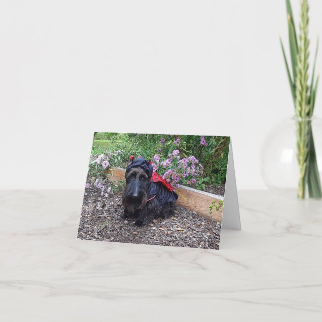 Ladybug Baby Card (Front)