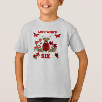 Ladybug Bear 6th Birthday
