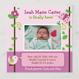 Ladybug birth announcement