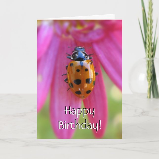 Ladybug Birthday Card (Front)