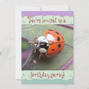 Ladybug Birthday Invitation