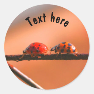 Ladybug Buddies Nature Personalized Classic Round Sticker