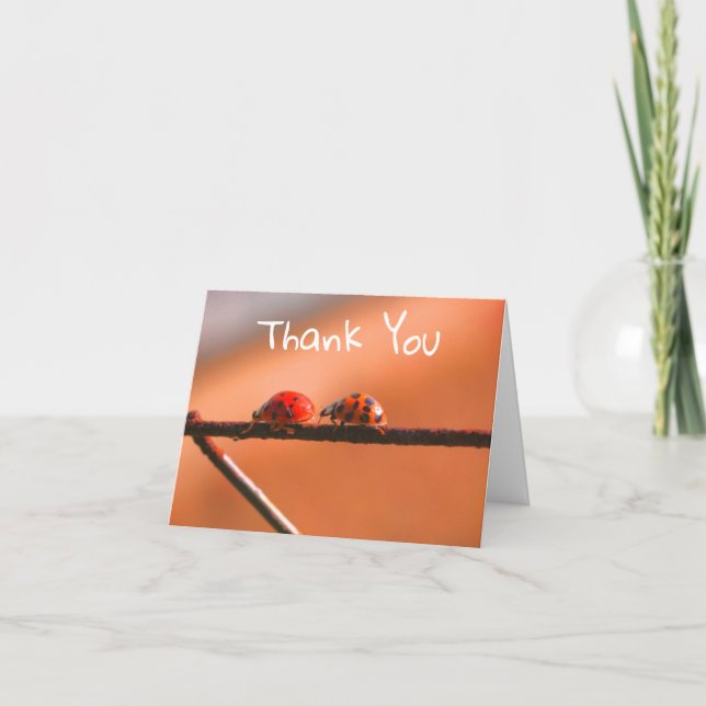 Ladybug Buddies Nature Thank You Card (Front)