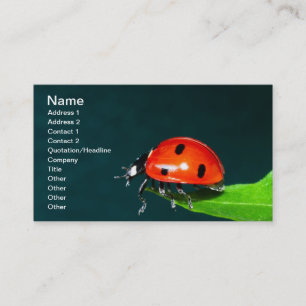 Ladybug Business Card