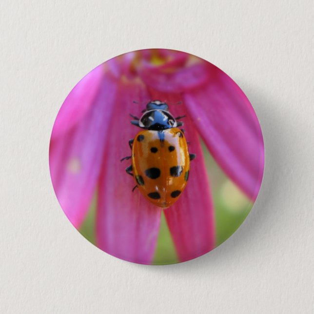 Ladybug Button (Front)